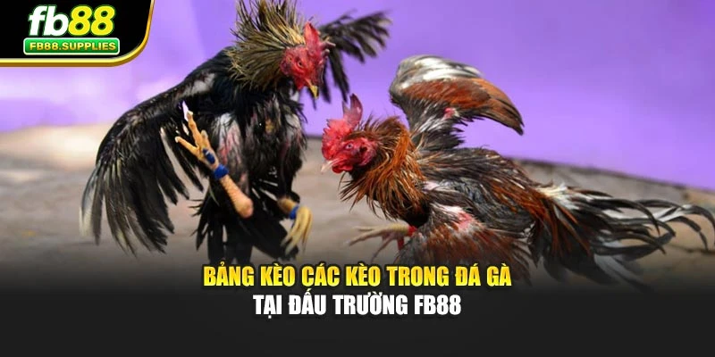 Bảng kèo các kèo trong đá gà tại đấu trường Fb88