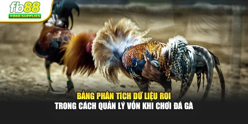 Bảng phân tích dữ liệu ROI trong cách quản lý vốn khi chơi đá gà