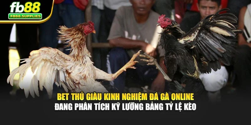 Kinh Nghiệm Đá Gà Online Chuẩn Xác Từ Dân Chơi Lão Làng Fb88