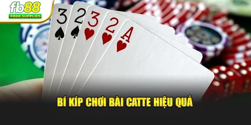Bí kíp chơi bài Catte hiệu quả