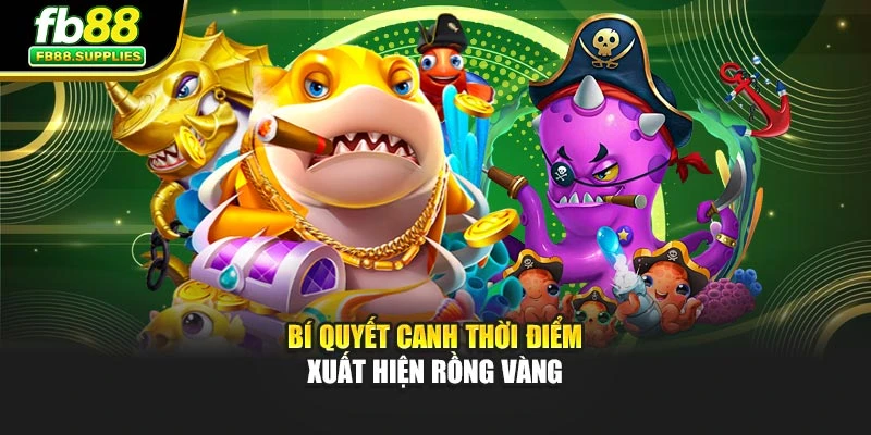 Bí quyết canh thời điểm xuất hiện rồng vàng