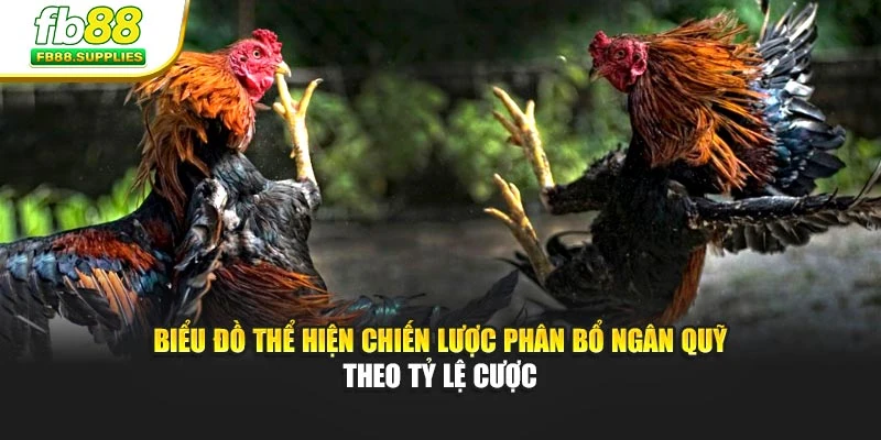 Biểu đồ thể hiện chiến lược phân bổ ngân quỹ theo tỷ lệ cược