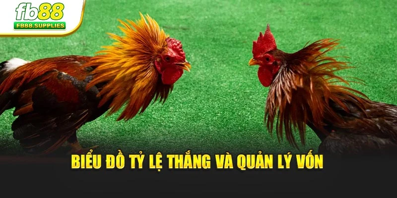 Biểu đồ tỷ lệ thắng và quản lý vốn