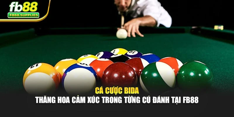 Cá Cược Bida – Thăng Hoa Cảm Xúc Trong Từng Cú Đánh Tại FB88