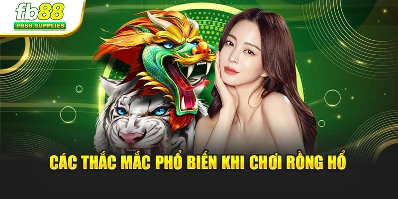 Các thắc mắc phổ biến khi chơi Rồng Hổ