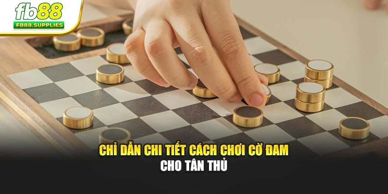Chỉ dẫn chi tiết cách chơi cờ đam cho tân thủ