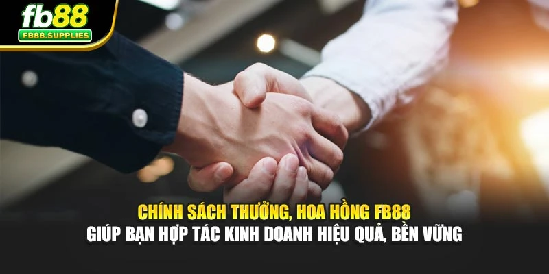 Chính sách thưởng, hoa hồng FB88 giúp bạn hợp tác kinh doanh hiệu quả, bền vững