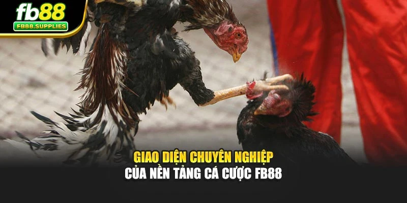 Giao diện chuyên nghiệp của nền tảng cá cược Fb88