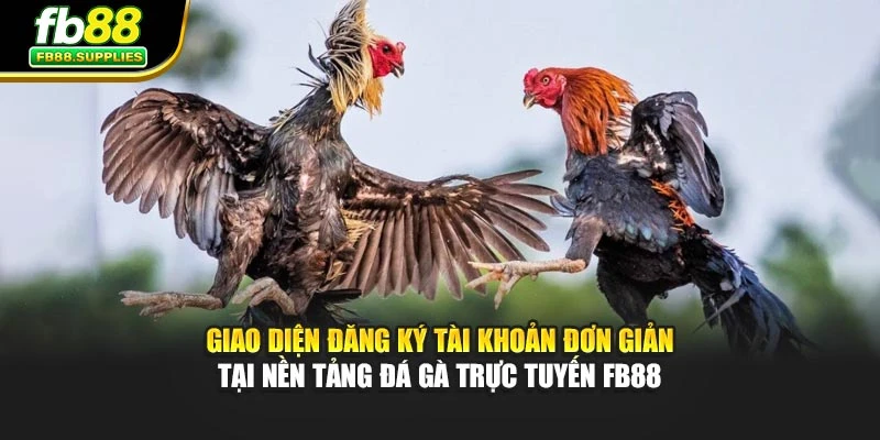 Giao diện đăng ký tài khoản đơn giản tại nền tảng đá gà trực tuyến Fb88