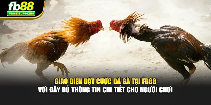 Giao diện đặt cược đá gà tại Fb88 với đầy đủ thông tin chi tiết cho người chơi
