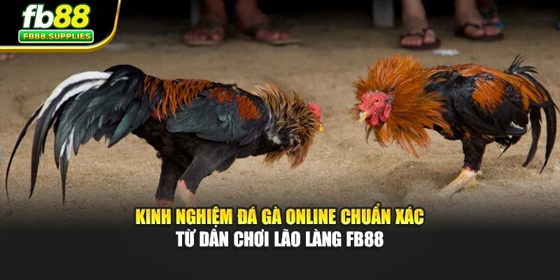 Bet thủ giàu kinh nghiệm đá gà online đang phân tích kỹ lưỡng bảng tỷ lệ kèo