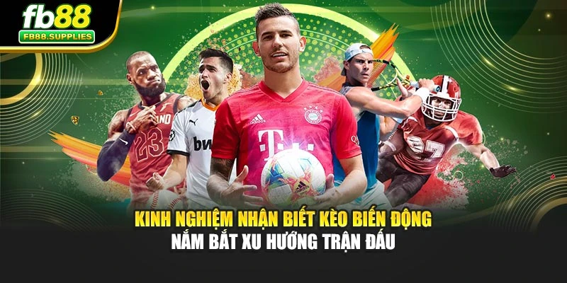 Kinh nghiệm nhận biết kèo biến động nắm bắt xu hướng trận đấu