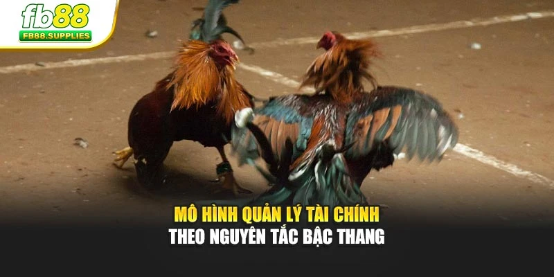 Mô hình quản lý tài chính theo nguyên tắc bậc thang