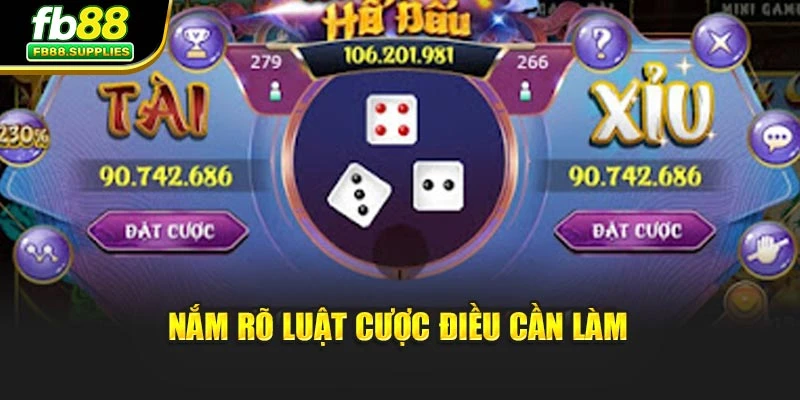 Nắm rõ luật cược điều cần làm