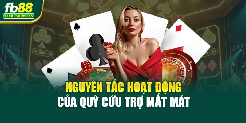 Nguyên tắc hoạt động của quỹ cứu trợ mất mát