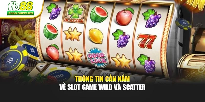 Thông tin cần nắm về Slot Game Wild và Scatter