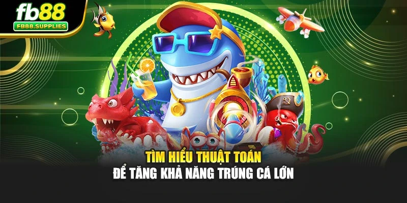 Tìm hiểu thuật toán để tăng khả năng trúng cá lớn