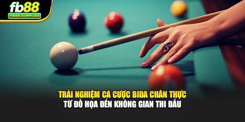 Trải nghiệm cá cược bida chân thực từ đồ họa đến không gian thi đấu