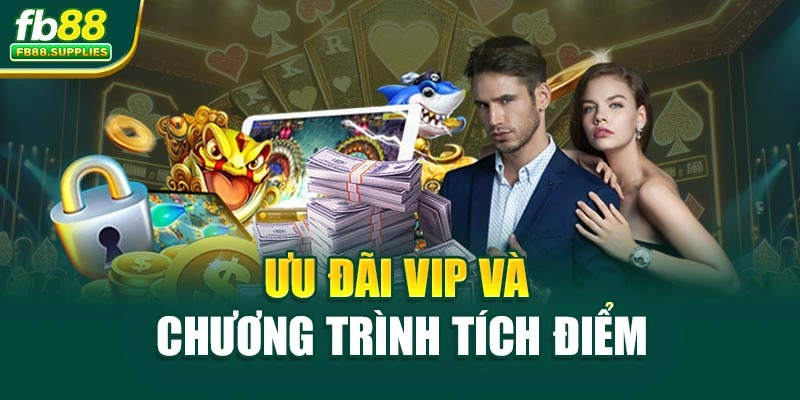 Ưu đãi VIP và chương trình tích điểm